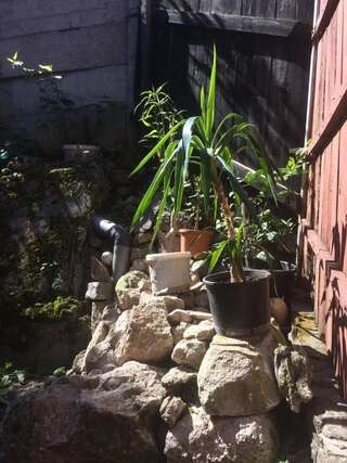 Кемпинги CASA cu curte Брашов-5